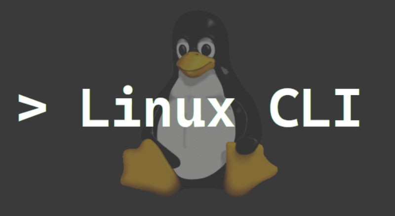 Командная строка Linux LCLI01